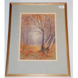 Silver birches by a woodland pond, a watercolour signed D. Gould.
