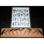 Nine Victorian corkscrews mounted on a display board, including turned bone,