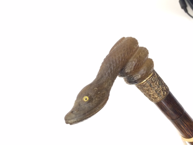 An late Victorian or Edwardian walking stick, the handle a coiled snake with glass eyes, length 93. - Image 11 of 13