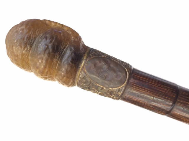 An late Victorian or Edwardian walking stick, the handle a coiled snake with glass eyes, length 93. - Image 13 of 13