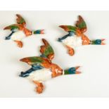 Three Beswick flying duck wall plaques, Nos 596 1, 2 and 3.