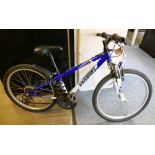 A youth's Apollo Gradient mountain bike