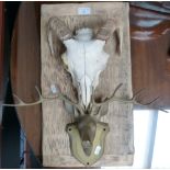 A rams skull mounted on wooden plaque, together with a brass stags head on brass mount (2)