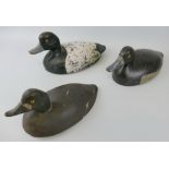 Shooting - three carved wooden decoy ducks, with inset glass eyes and traces of painting, largest
