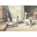 Chris Meadows, watercolour, signed, a study of Jack Russell Terriers frightened by a lobster
