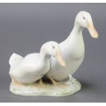 A Danish group of geese 5"