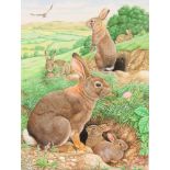 Richard Orr, watercolour, signed, study of rabbits in a downland setting 10 1/2" x 8"