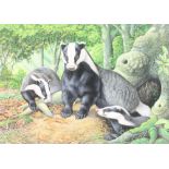 R W Orr, watercolour drawing, study of 3 badgers by a set, 14" x 20" signed