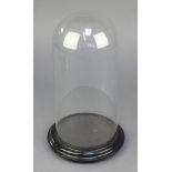 A Victorian glass dome 11" x 6 1/2" (slight chip to base)