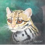 R W Orr, watercolour, study of an Ocelot 4" x 4", signed