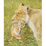 Richard Orr, watercolour, signed, study of a lioness and lion cub amongst grass 17" x 14"