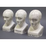 3 reproduction pottery phrenology heads 10"