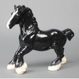 A Beswick figure Cantering Shire horse, black gloss, 975 8"