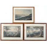 JC Stadler  after Joseph Farington RA (1747-1821),
3 x hand coloured Aquatints,
' Henley ', '