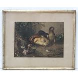 19thC Chromolithograph,
The young chick , chicken chicks meet a days old chick having fallen out