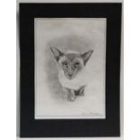 Kevin Everett 98,
Pencil drawing,
Siamese Cat,
Signed and dated lower right,