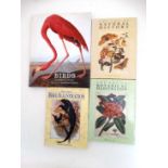 Books: A collection of 4 books on natural history illustration and birds with full colour