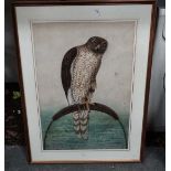 Watercolour of a bird of prey / Gosshawk CONDITION: Please Note - we do not make