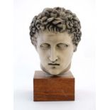 A British museum replica head of a classical figure on mahogany block 22 1/4" high.