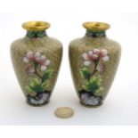 A pair of Oriental gilt and Cloisonne short baluster vases having magnolia and chrysanthemum