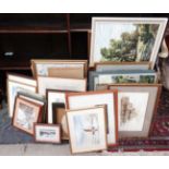 A large collection of framed prints, drawings,