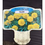 Plants : Tray of yellow French marigold (12 plants) CONDITION: Please Note - we do