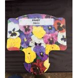 Plants : Tray of pansies (mixed) (12 plants) CONDITION: Please Note - we do not