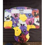 Plants : Tray of pansies (mixed) (12 plants) CONDITION: Please Note - we do not