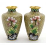 A pair of Oriental gilt and Cloisonne short baluster vases having magnolia and chrysanthemum