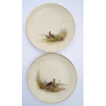 A pair of Royal Worcester style cabinet plates hand decorated with image of pheasants and snipe