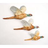 A set of three graduated Beswick pheasant wall plaques, numbers 661/1, 661/2 and 661/3,