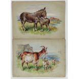 Alfred MacDonald XIX-XX, Watercolour , two, ' Summer Days ' Jenny (Jennet ) Donkey and foal,