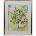 Susan Shaw XX, Watercolour ' Plumtree ' Signed lower left and Heal's label verso.