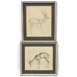 John Rattenbury Skeaping ( 1901-1980), Lithograph , a pair, 'Leechwee antelope ...