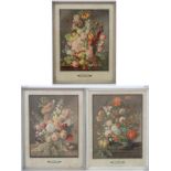 Ferndinand Mourlot (1895-1988) after Joseph Nigg ( 1782-1863). Botanical chromolithograph x 3.