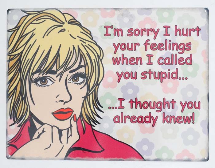 A 21stC A humorous metal sign" Sorry I hurt your feelings......