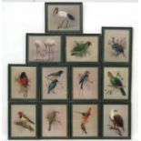 After Rena Fennessy 1990, 12 coloured Ornithological prints, African Bird studies,