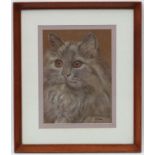 B Fisher XX, Pastel and chalks, Persian Cat, Signed lower right.