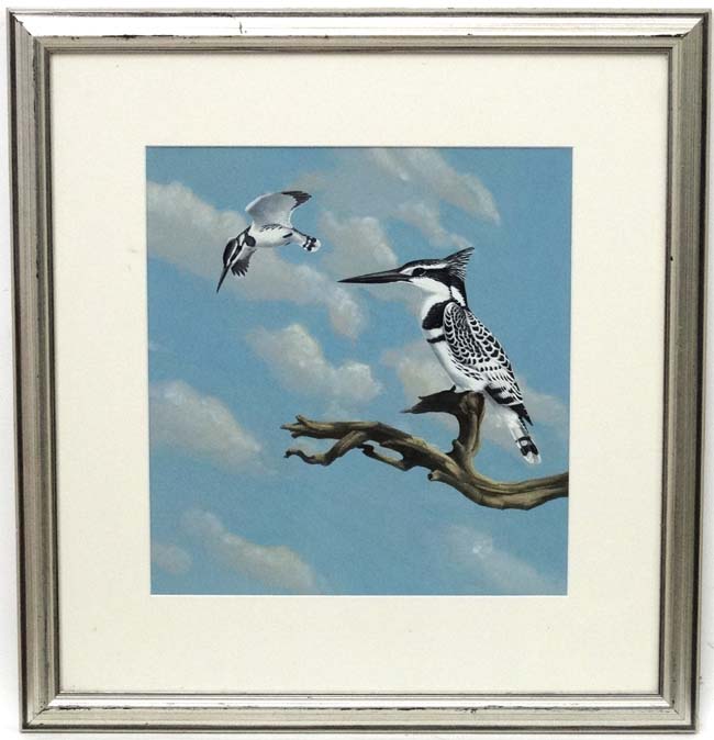 Chloe Talbot Kelly ( 1927), Oil on card, ' Pied Kingfishers of Africa' ,