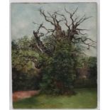 CC Warren 1889, Oil on canvas, The old oak tree before an Elizabethan house,