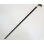 An ebonised walking cane with white metal collar and carved handle formed as a parrot head.