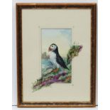 Glenda Rae XX Watercolour The Sea Parrot / Puffin Signed lower right and to mount with label