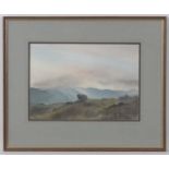 Colin Whittle 87, Watercolour ' ' Herdwick at Sunset ' A Herdwick Sheep in the Lake District ,