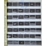 *Military. Six ring binder files containing approximately 12,000 35mm negatives of military