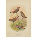 Mathews (Gregory M.). The Birds of Australia, 13 volumes including 5-part Supplement, 1910-27, six-