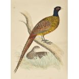 Morris (Beverley R.). British Game Birds and Wildfowl, published Groombridge and Sons, 1864,