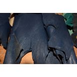*Leather. Eight skins of dark blue goatskin bookbinding leather, comprising five skins of grade I