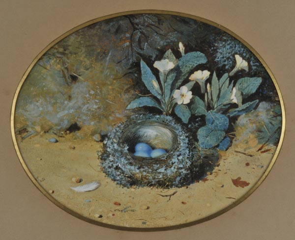 *Cruikshank (William, 19th century). A pair of oval still lifes of birds' nests and primrose against