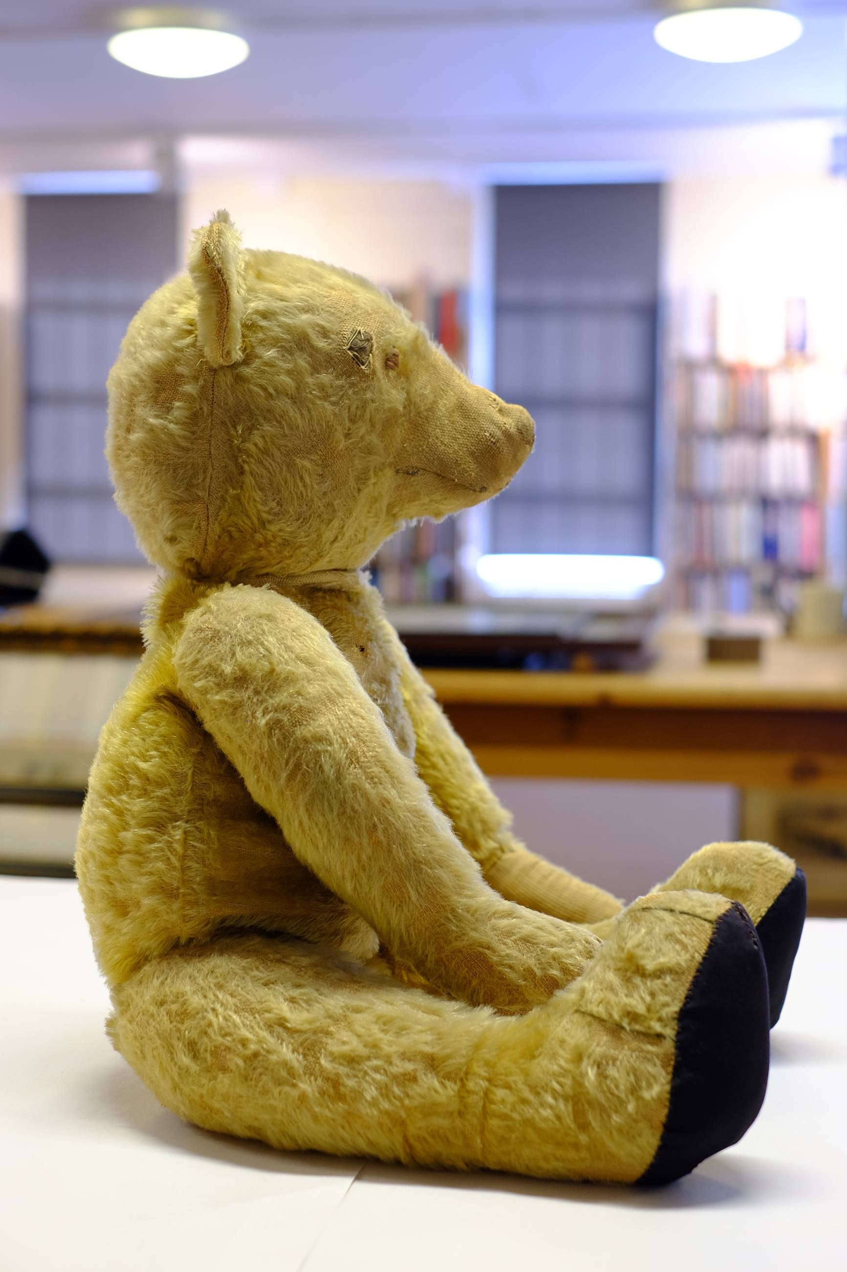 *Teddy. A large teddy bear, English, early 20th century, a gold mohair jointed teddy bear with - Image 2 of 4