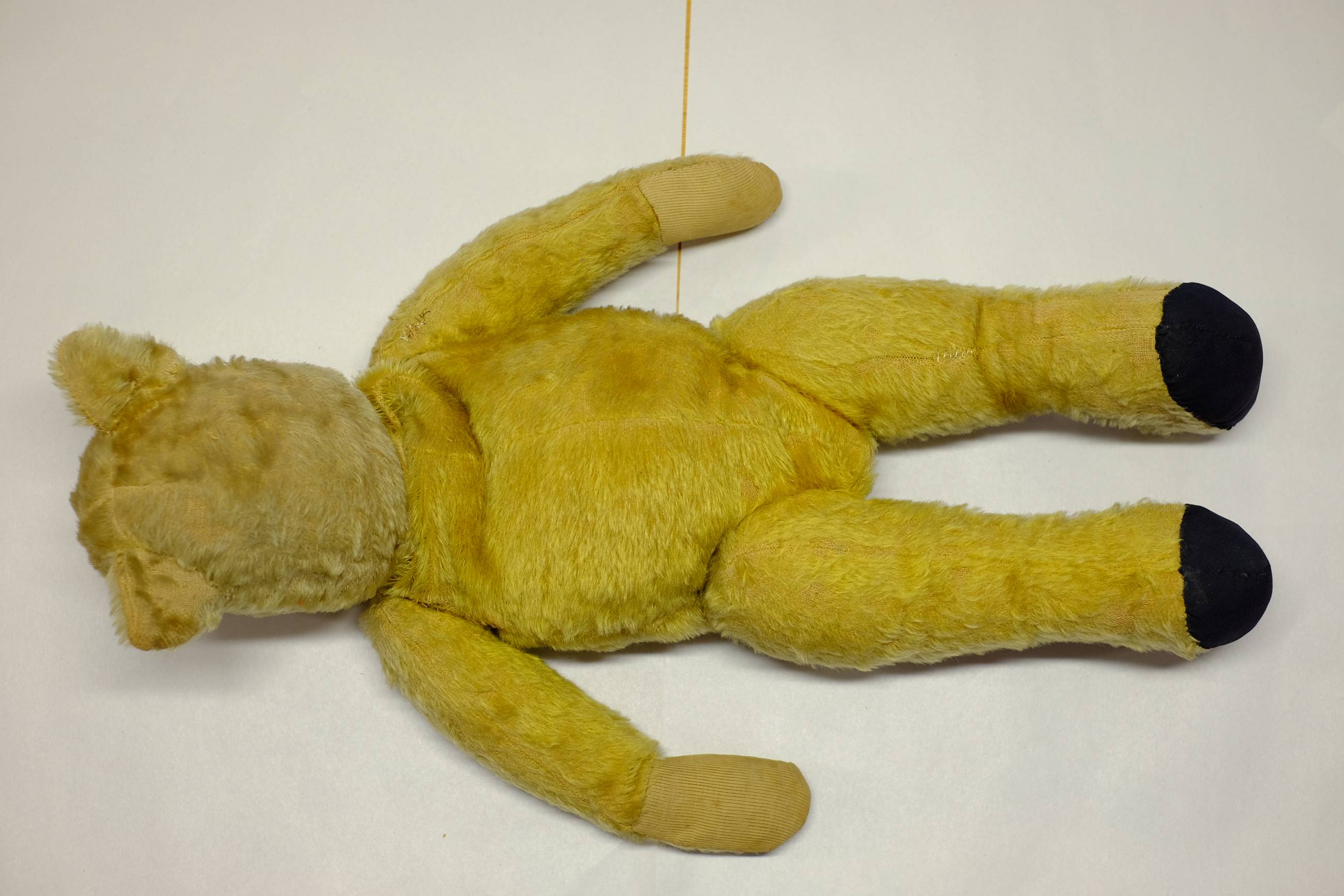 *Teddy. A large teddy bear, English, early 20th century, a gold mohair jointed teddy bear with - Image 4 of 4